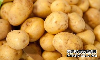 土豆馬鈴薯保鮮冷庫(圖1)